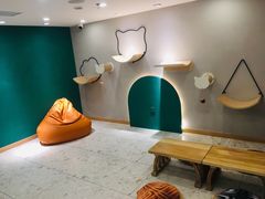 -飞行喵MR PILOT|猫舍·猫咖(静安大融城店)