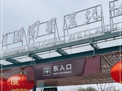-洋湖国家湿地公园