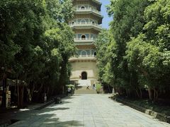 -灵谷景区