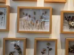 -植物学家的女儿(北马道巷店)