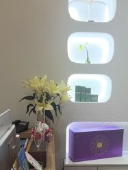 -薇薇安花系SPA
