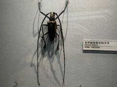 -天津自然博物馆