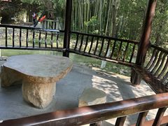 -八大山人梅湖景区