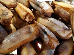-杨记海鲜楼(三门黑金冠店)