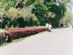-七桥瓮公园