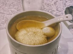 -新光酒家·河豚·海鲜·蟹料理(浦东店)