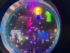 -太平洋海底世界