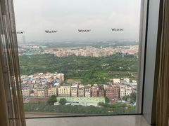 -广交会威斯汀酒店