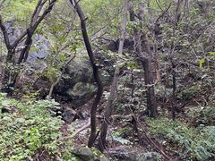 -北京鹫峰国家森林公园