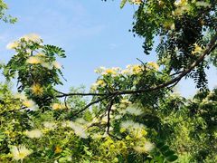 -白鹭湾湿地公园