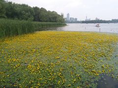 -长春市南湖公园