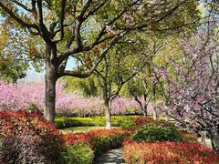 -昆山城市生态森林公园