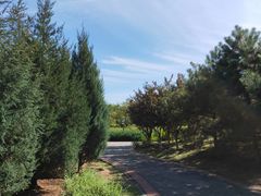 -永定河休闲森林公园