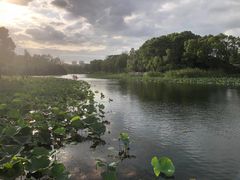 -新江湾城公园