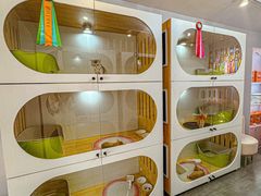 -青奢宠物·青奢猫舍