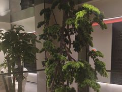 -八大碗·地道东北菜(东陵西路店)