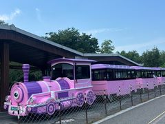 -江苏三台山国家森林公园