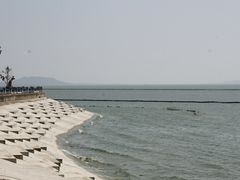 -合肥滨湖国家森林公园