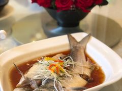 -浦华大酒店-台南担仔面海鲜楼