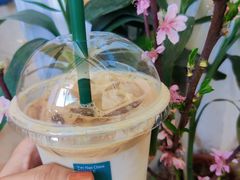 -滇咖啡体验店