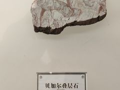 -辽宁古生物博物馆