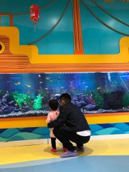 -北京科学中心儿童乐园