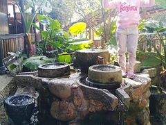 -天门沟九州驿站树上汤泉