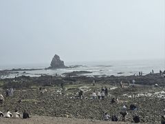 -开海·红岛海鲜虾水饺(石老人店)