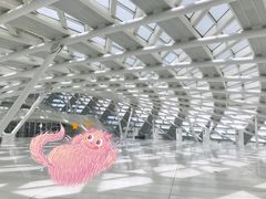 -凤凰中心