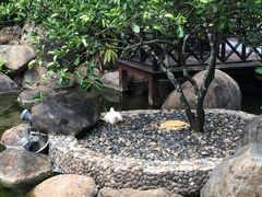 -西双版纳洲际度假酒店-海鲜傣味烧烤·侬香全日制餐厅