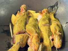 -江湖水乡铁锅炖魚(周庄嘉园店)