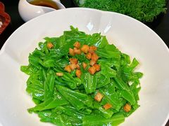 -秀儿四九城·新京菜(亚运村鸟巢店)