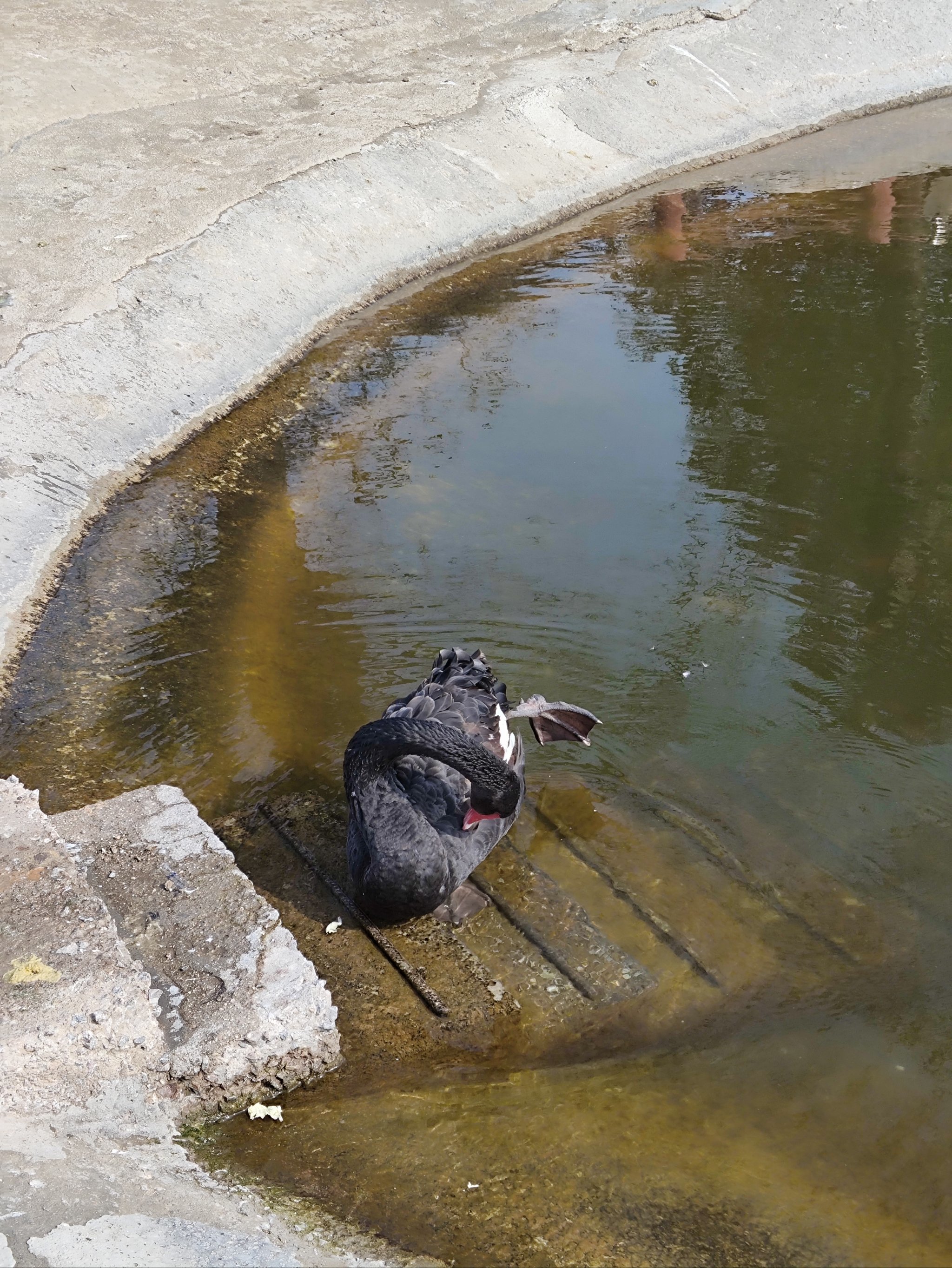 小动物的快乐时光