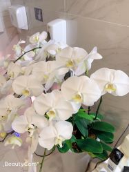 -V Beautique妆颜美学体验馆