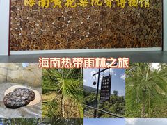 -呀诺达热带雨林