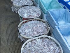 -中国舟山国际水产城