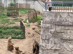 -哈尔滨北方森林动物园