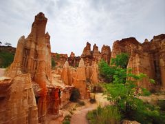 -元谋土林景区(物茂土林)