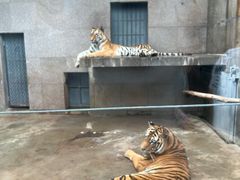 -西安秦岭野生动物园
