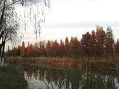 -艾溪湖湿地公园