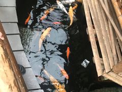 -上海大自然野生昆虫馆(东方明珠·爬宠昆虫探索中心)