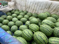 -西瓜小镇