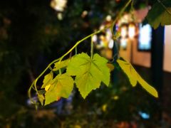 -北京湖广会馆