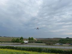 -空港花田景区