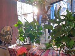 -La Medina餐厅(亮马河南路店)