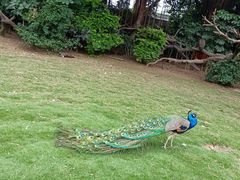 -广州长隆飞鸟乐园