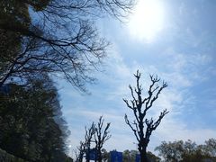 -热田神宫