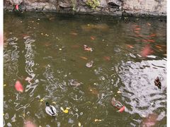 -北京动物园