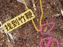 -同里国家湿地公园