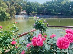 -人民公园(罗湖区)